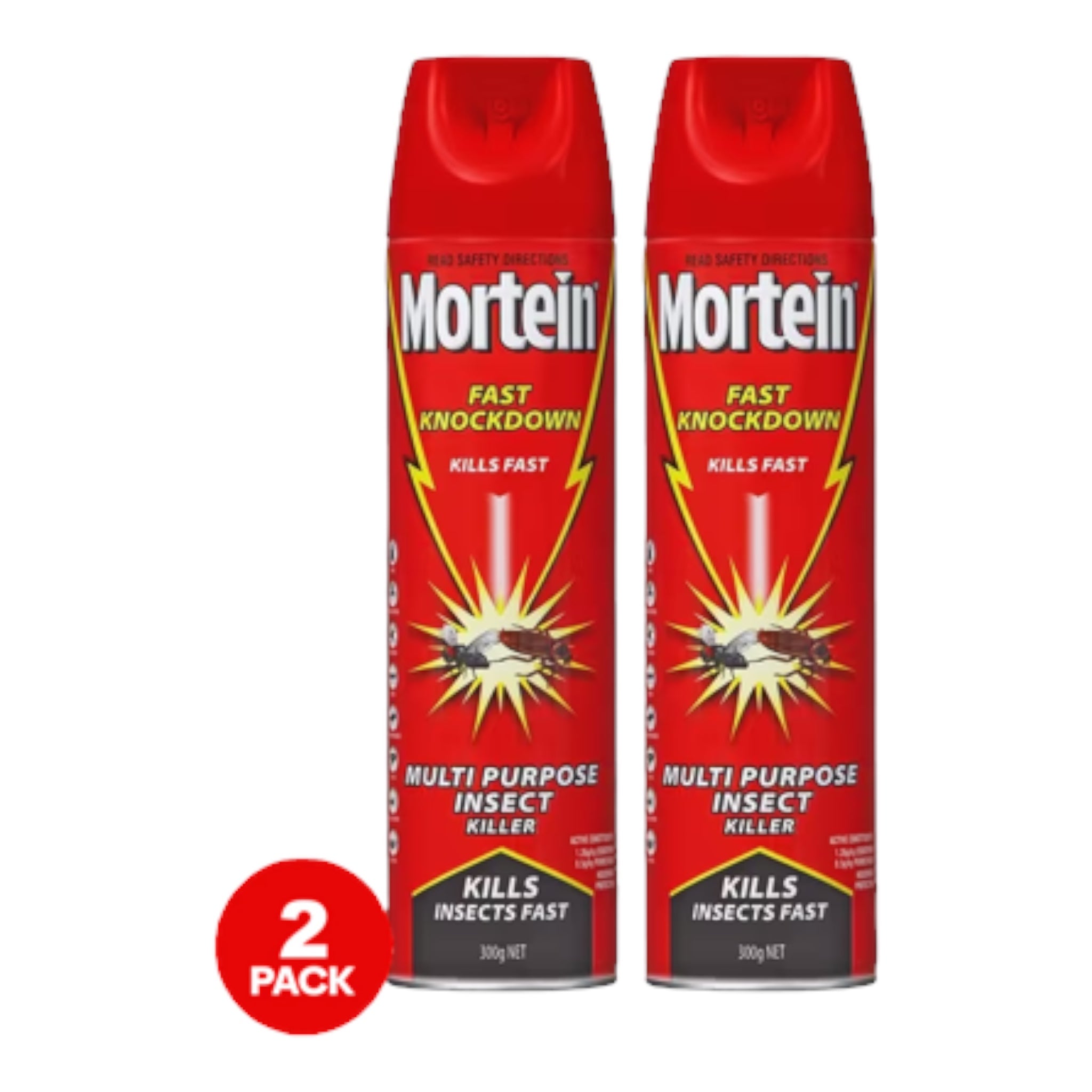 2 Pack Mortein Fast Knockdown Spray 300g Brands Establishment