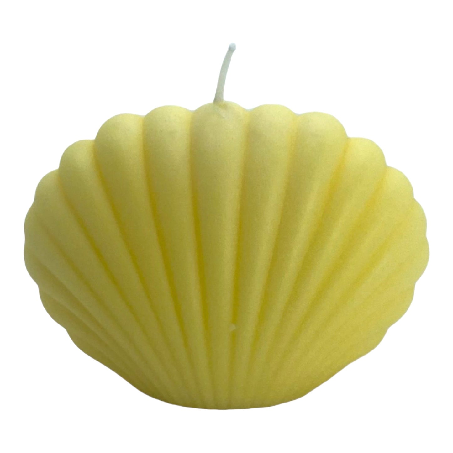 Shell Wax Candle
