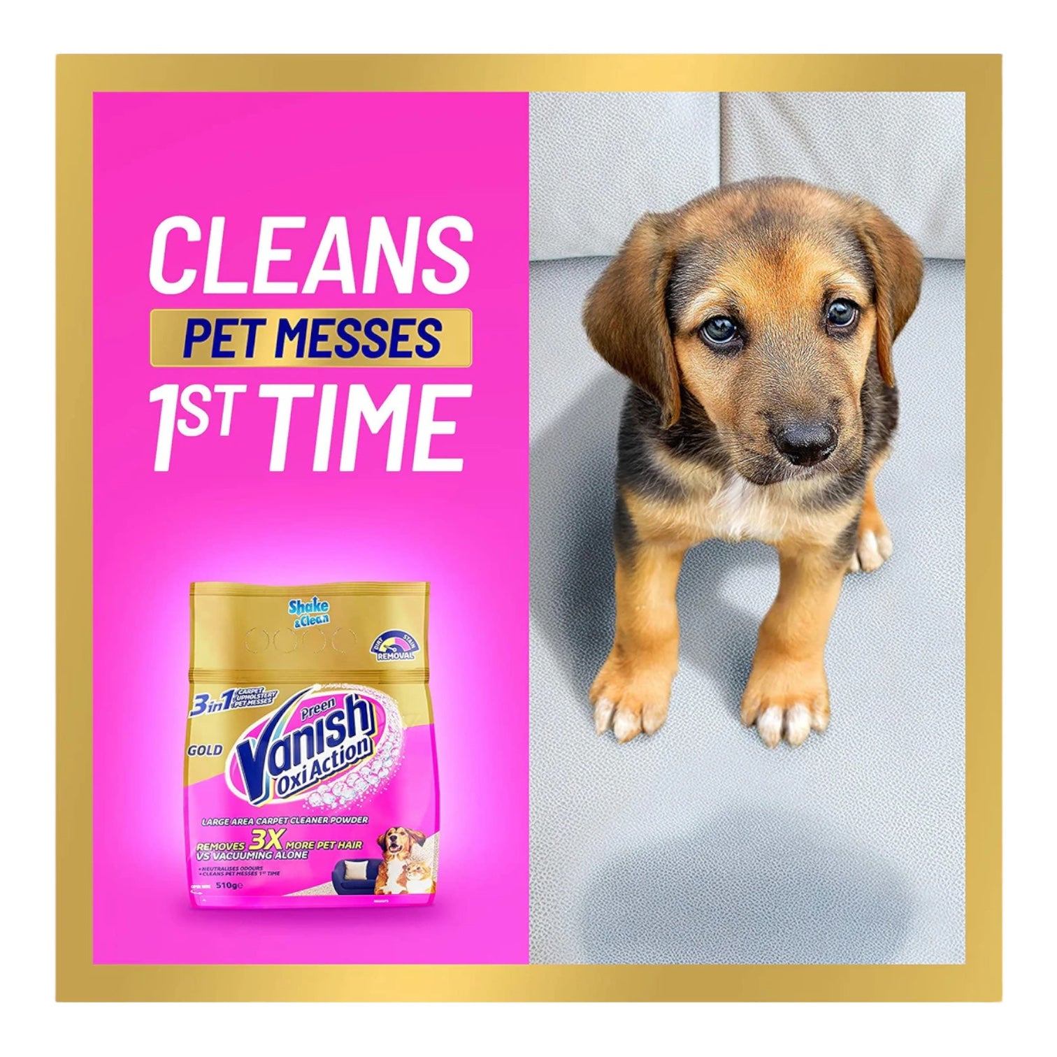 Vanish Preen Carpet Cleaner Power Powder 510g Brands Establishment